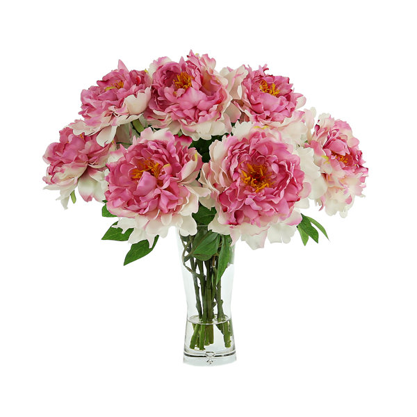 Primrue Peony Floral Arrangement in Vase Wayfair